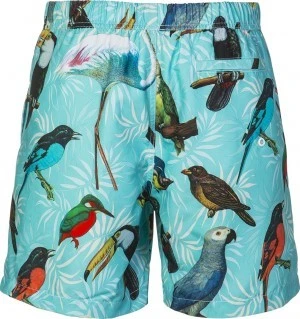 Zwemshort Shiwi Birds