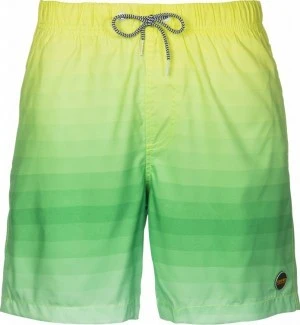 Zwemshort Shiwi gradient